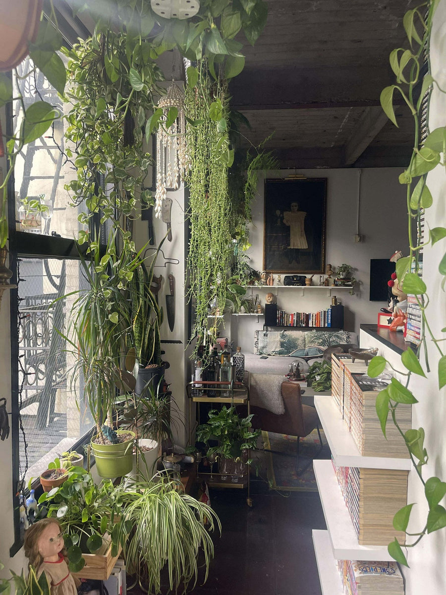 7 Decoration Ideas For Some Creative Inspiration